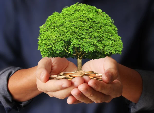 Metromsk: Platform and Digital Significance