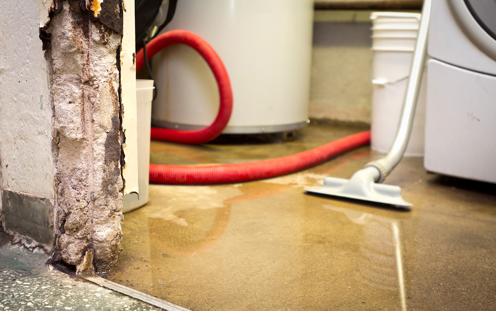 Top 10 Flood Cleanup Mistakes to Avoid at Home