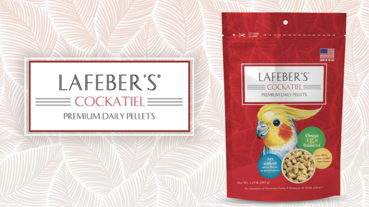 Your Bird Needs Better Food: Is Lafeber Bird Food the Right Choice?