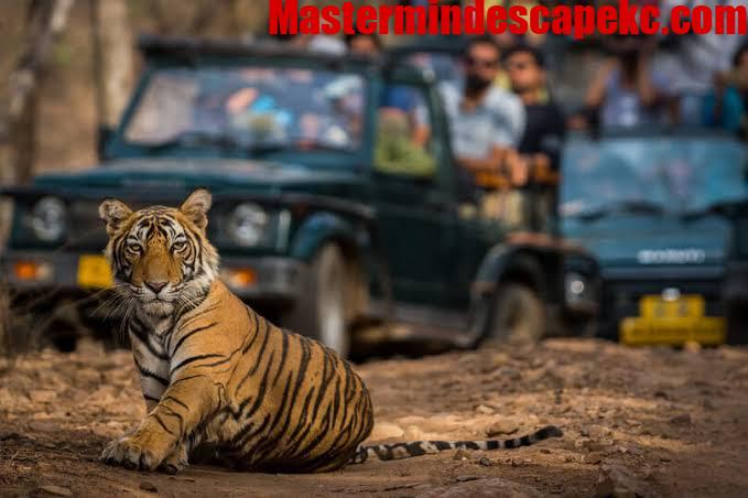 Luxury Golden Triangle Tour with Ranthambore: Travel in Style